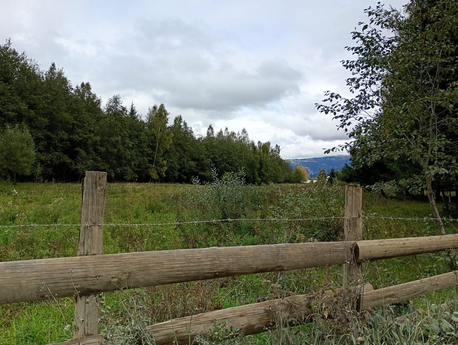 Teren Neagra Sarului Vatra Dornei 14000 mp