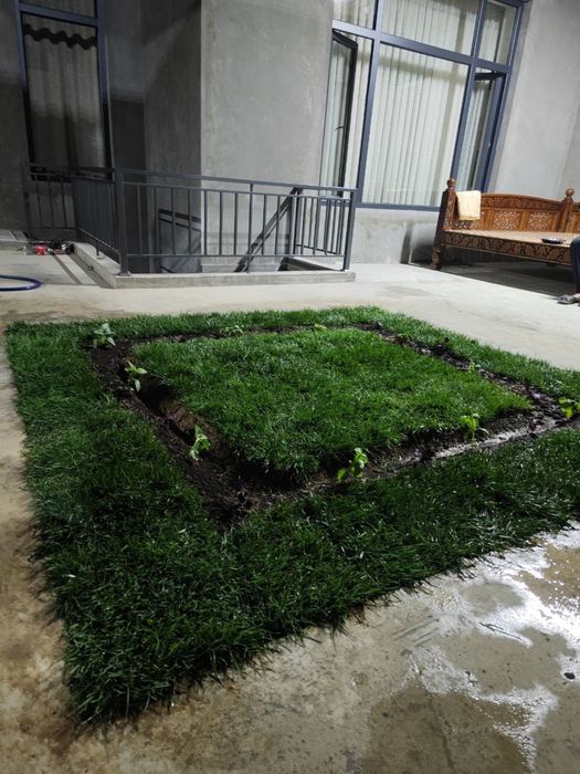 Yevro gazon sifatli va arzon