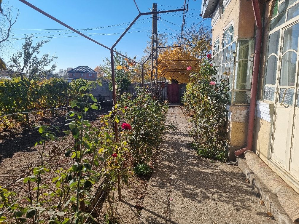 Vand Casă 4 camere + 3724 m2, com Fărcașele, jud Olt