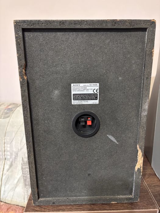 Тонколони Sony SS-RX99
