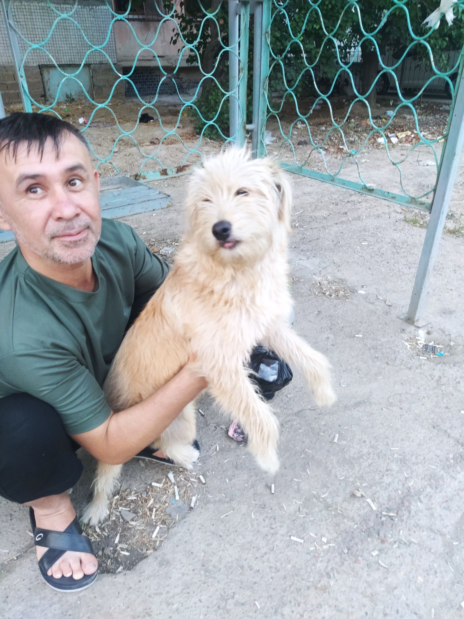 Собаку в добрые руки