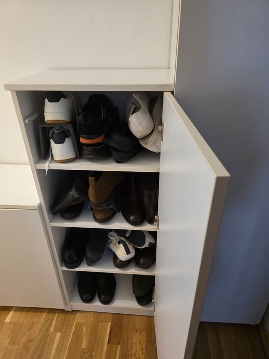 Dulapuri depozitare/pantofar