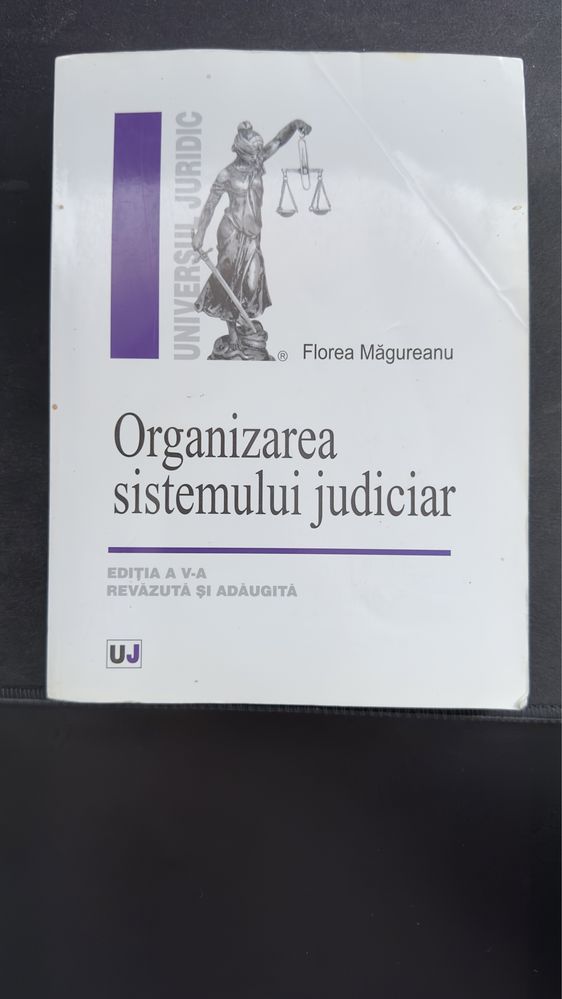 Organizarea sistemului judiciar - Florea Magureanu