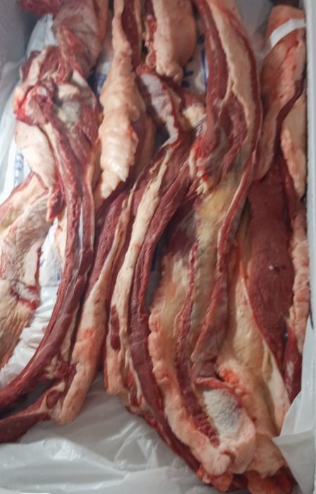 Продам согым 170.000