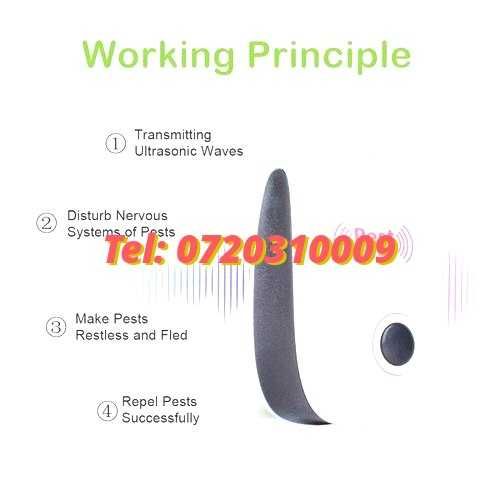 Pest Repeller Anti Insecte Rozatoare Cu Alimentare 220v