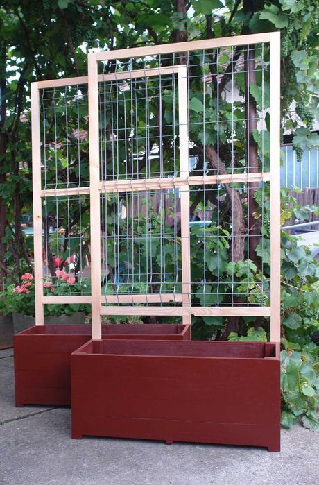 jardinieră cu șpalier