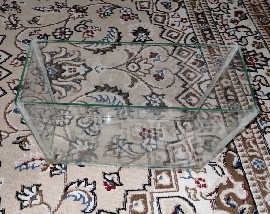 Аквариум + рыбки