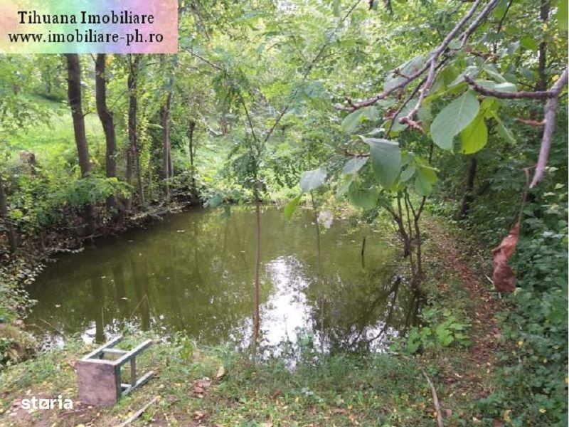 Teren de vanzare - Baicoi(Central) (intre case,gaze,curent,canalizare)