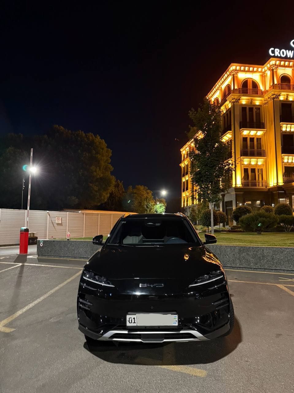 BYD chempion 2024