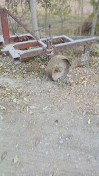 Плуг сотилади 3 корпусли 35 лик Беларус, юмз учун ҳайдаши жуда зўр