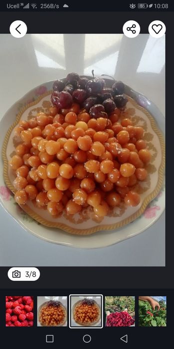 Черешня малина Шпанка