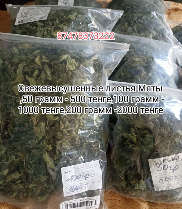 Продам свежевысушенную мяту,недорого