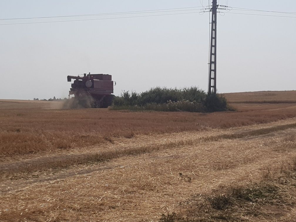 Prestari servicii agricole de recoltat