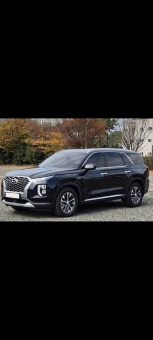 Hyundai Palisade на части