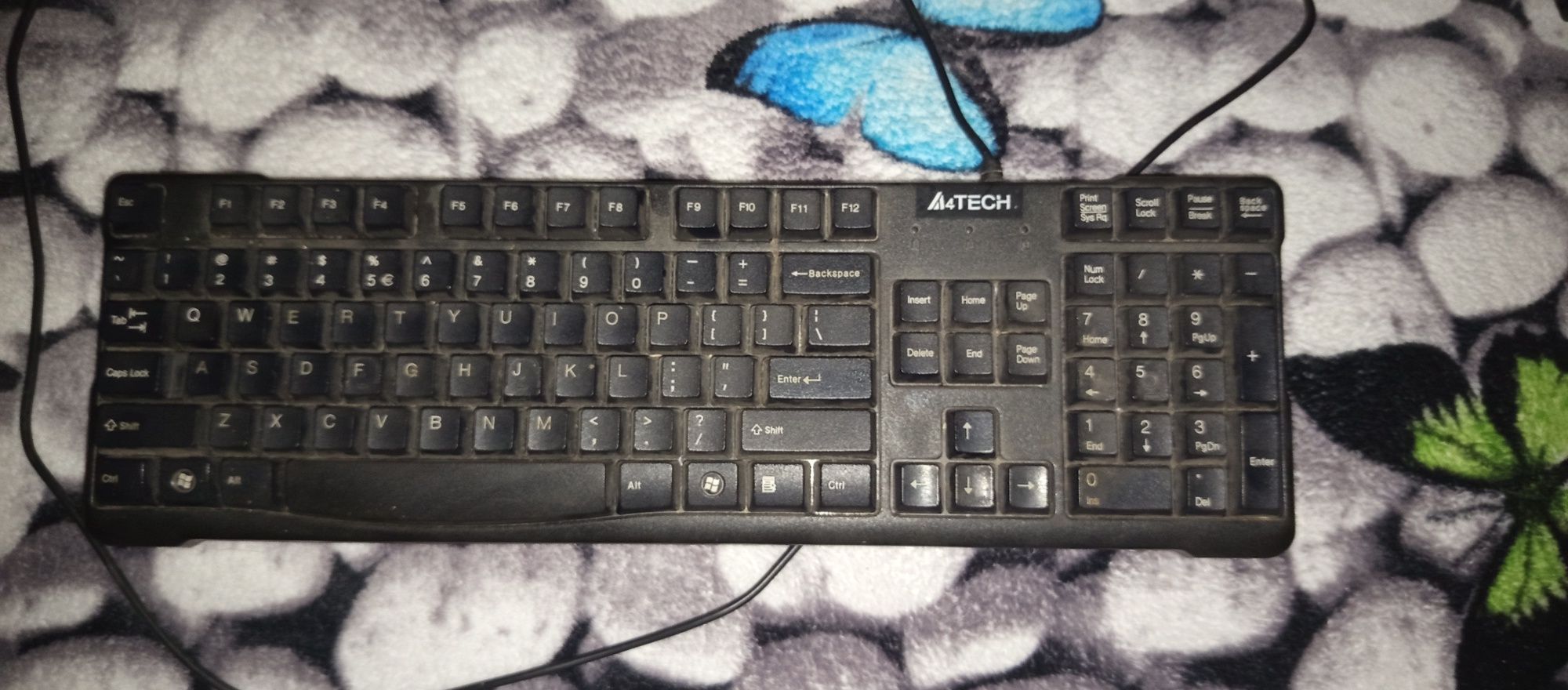 Tastatura și maus