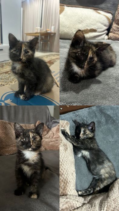 Ищем заботливую, любящую семью для милой и активной девочки