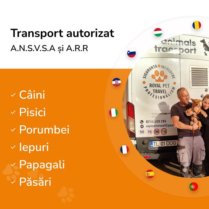 Transport autorizat A.N.S.V.S.A animale de companie Romania-Portugalia
