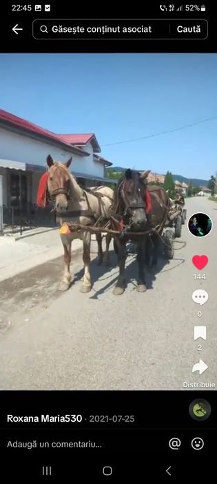 Cine are calu sa ma sune