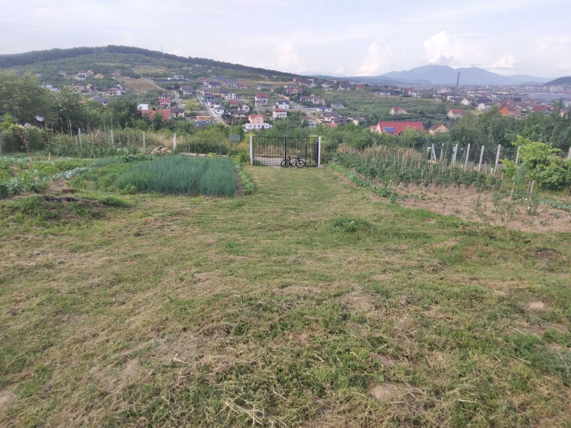 Vînd teren intravilant  suprafața2630m² alea coacăzilor