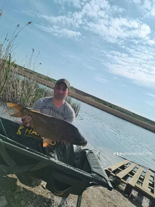 Vand boilies de calitate.