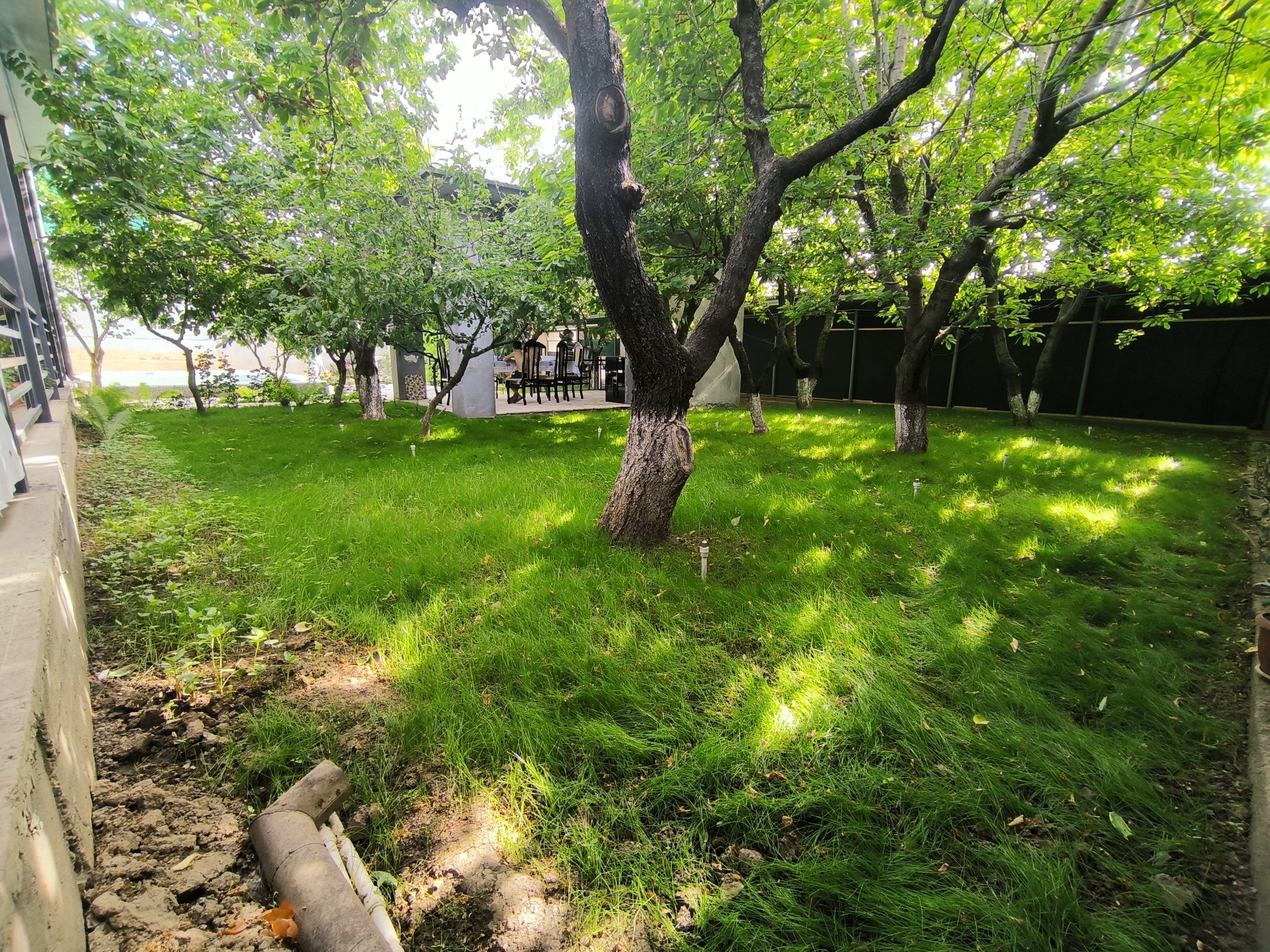 Дача dacha xumson arenda