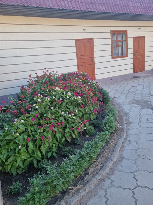 Продам дом в отличном местоположение.