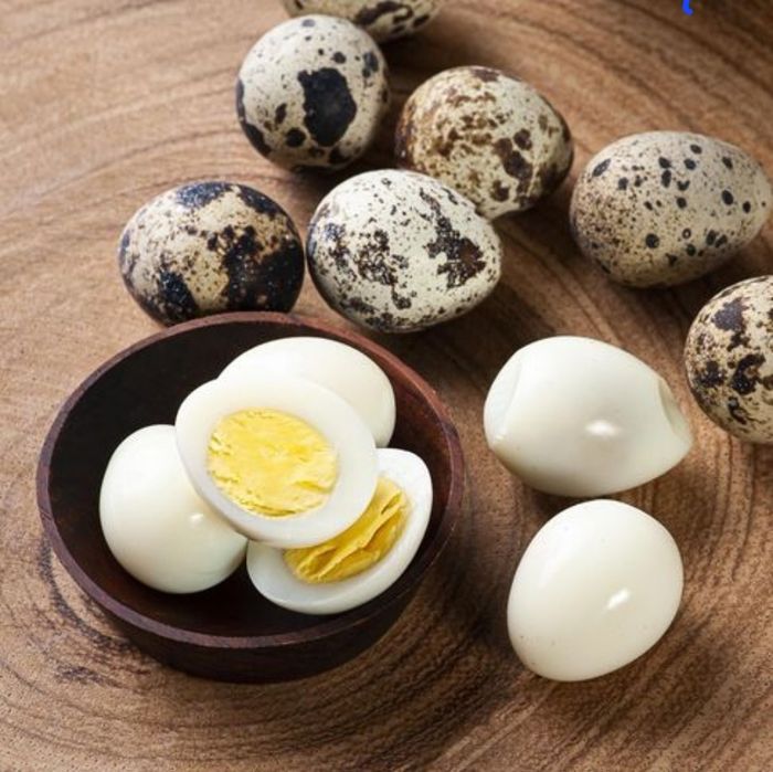 Жұмыртқа яйца перепелов