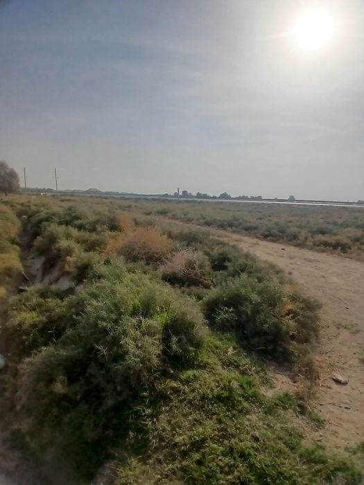 Чоргумбаз 6сотих чала ер участка сотилади