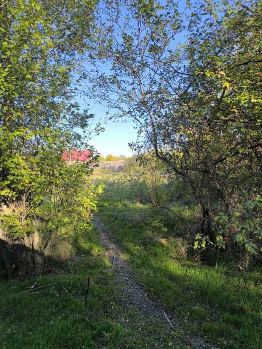 Teren , Cuza Vodă ,Dâmbovița