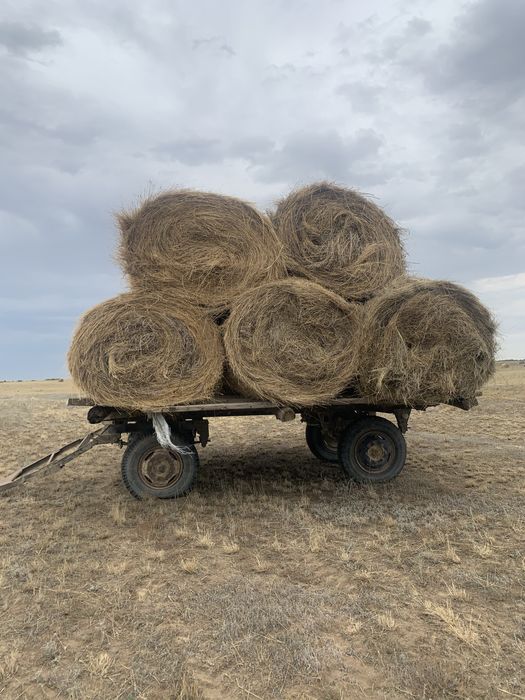 продам сено в руланах