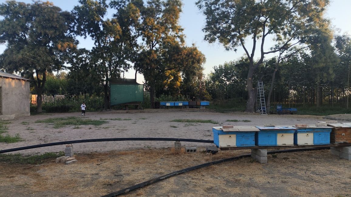 Огромная дача 2га