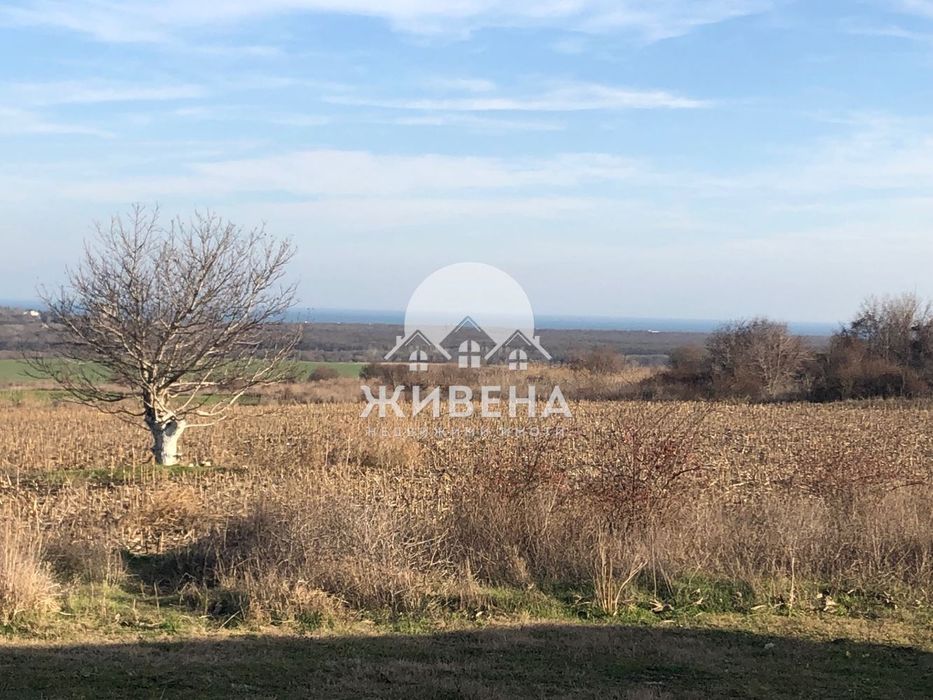 Парцел в с.Рогачево, обл. Добрич