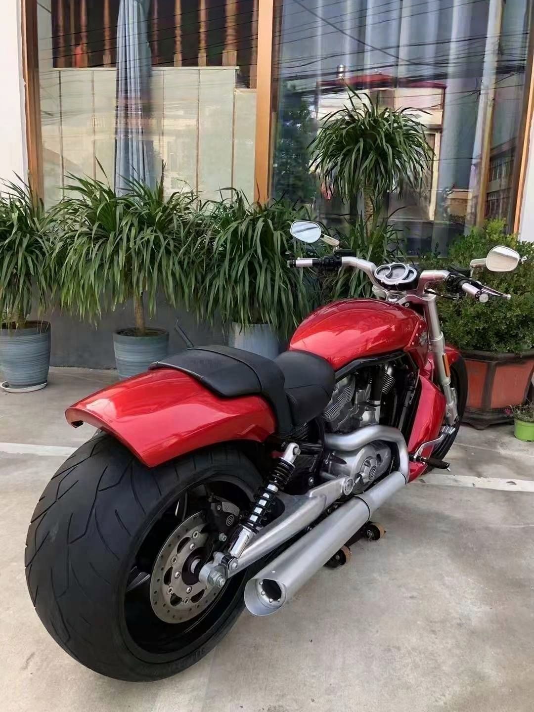 Harley-davidson v-rod