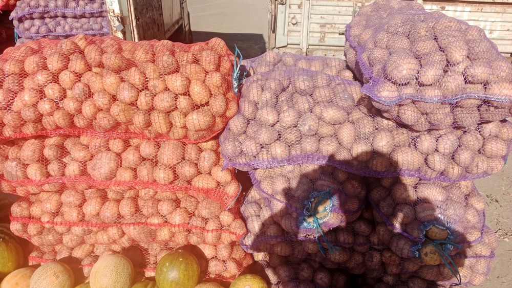 Продам Макаровский картошка