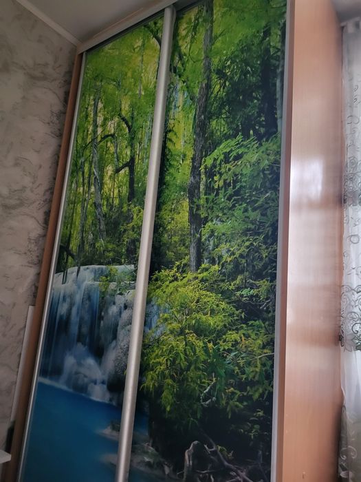 Шкаф-купе две двери