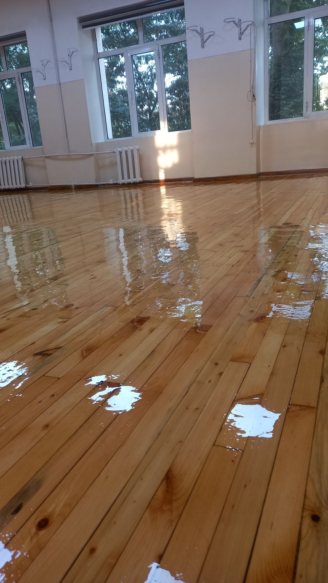 Шлифовка пол паркет