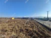 Teren intravilan 7900 mp de vanzare pe Valea Avrigului