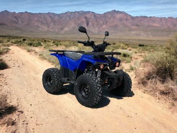 Бензиново ATV Max Motors Grizzly 150cc Blue Автоматични Скорости