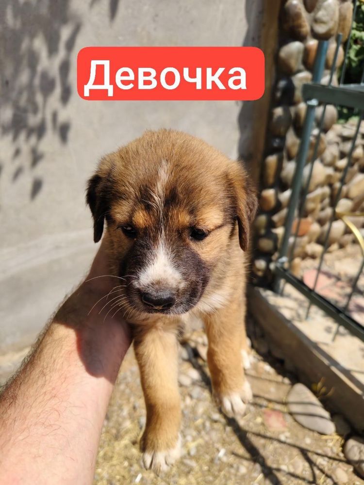 Малыши в ответственные руки!