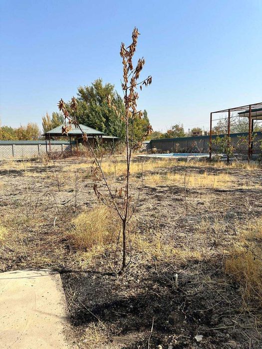 Продается дача Таваксай 13 соток цена 75,000$