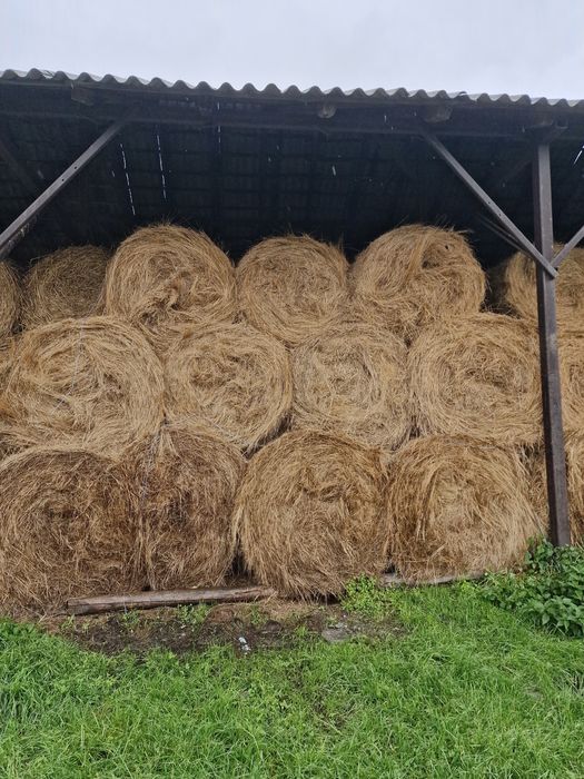 Vând baloti de Fan si Paie producție 2025
