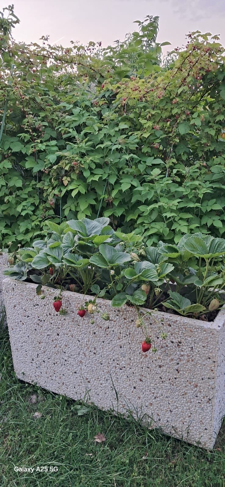 Jardiniere mozaic