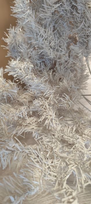 Бяла коледна елха