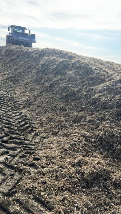 Baloți înfoliați de lucernă și siloz