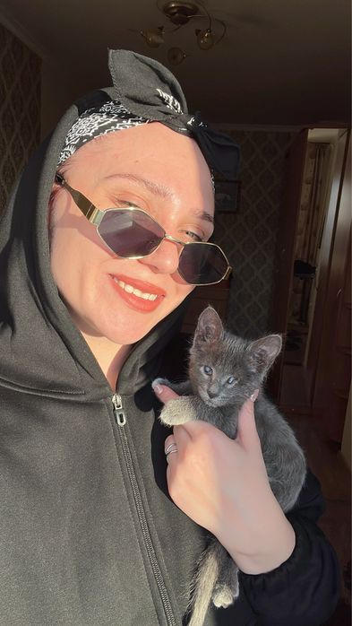 Котенок в добрые руки