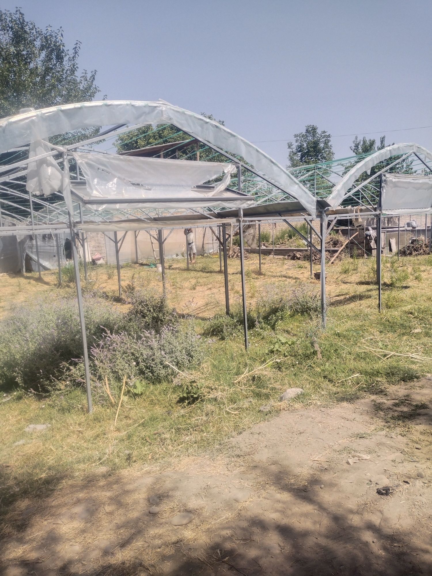 Парник сотилади 3 сотик