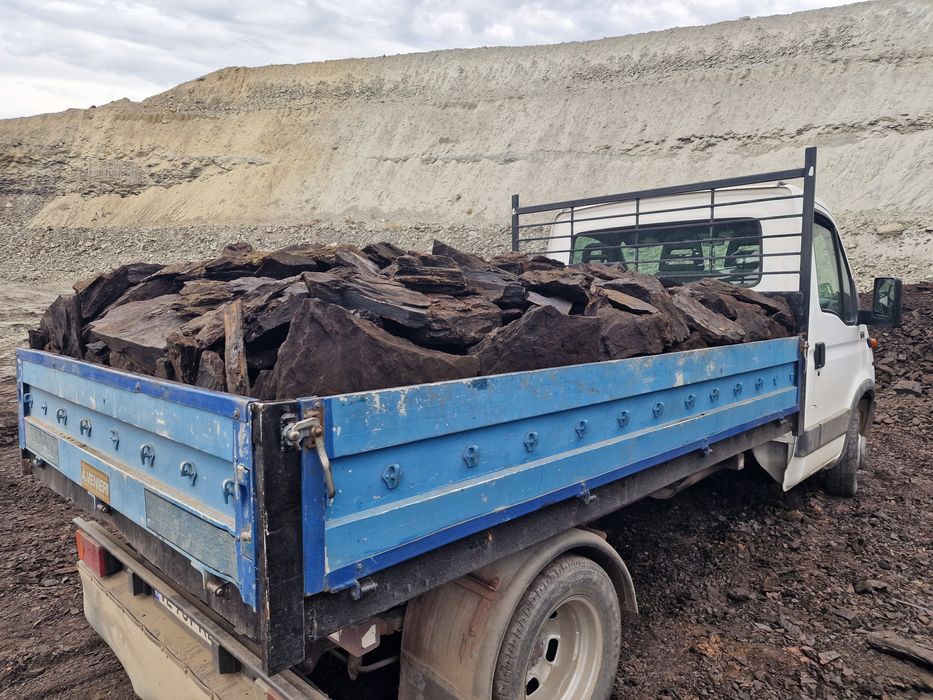 Carbune lemnos Berbesti