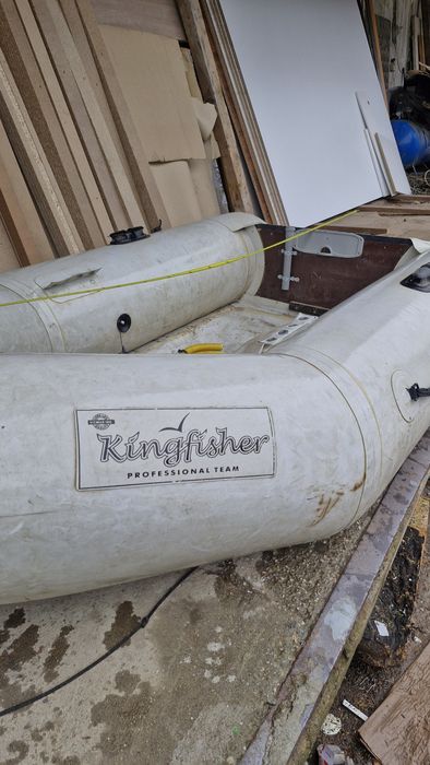 Barca kingfisher