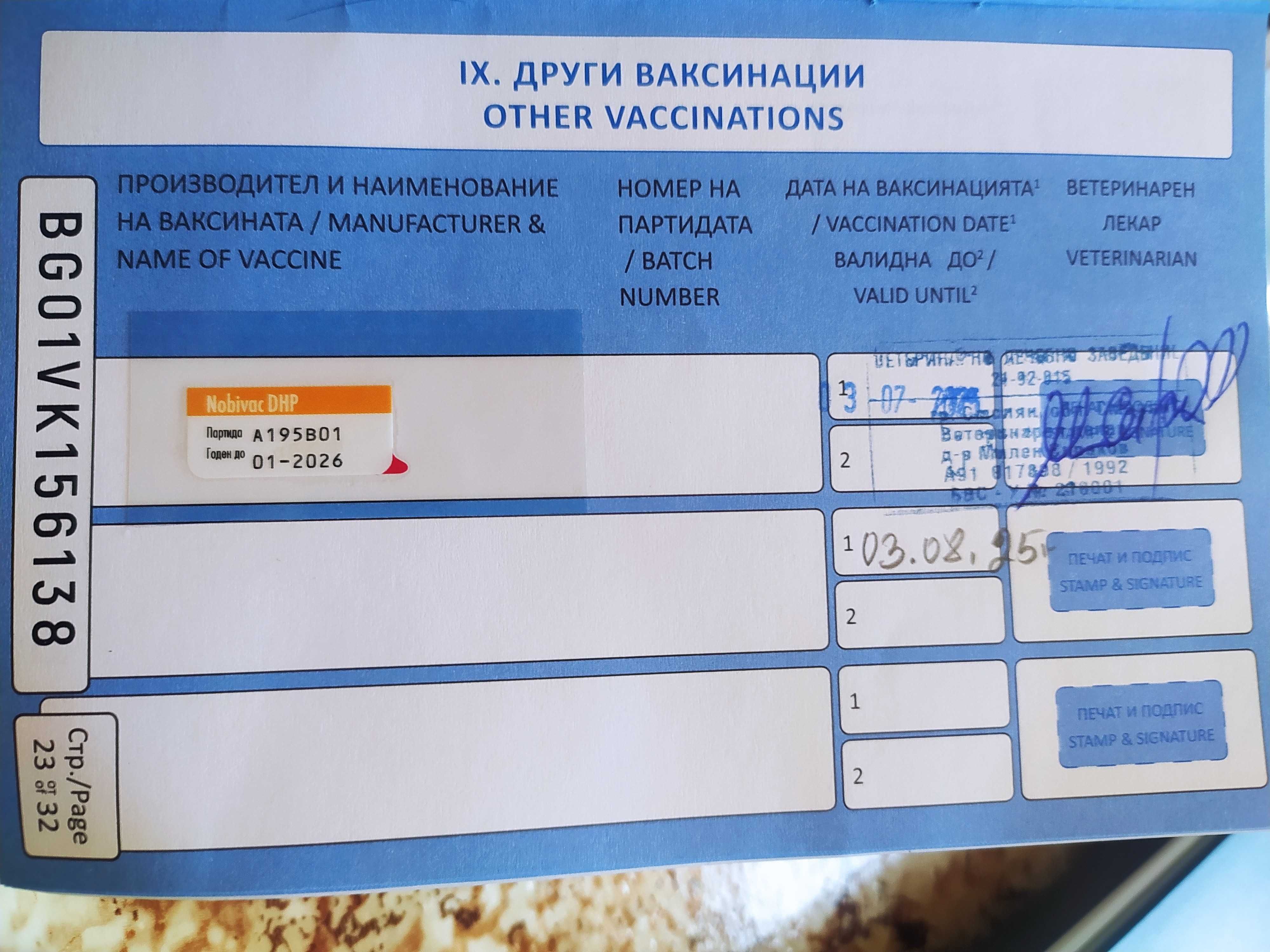 Среден немски шпиц