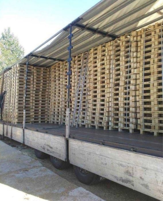 Vand paleti euro si non euro